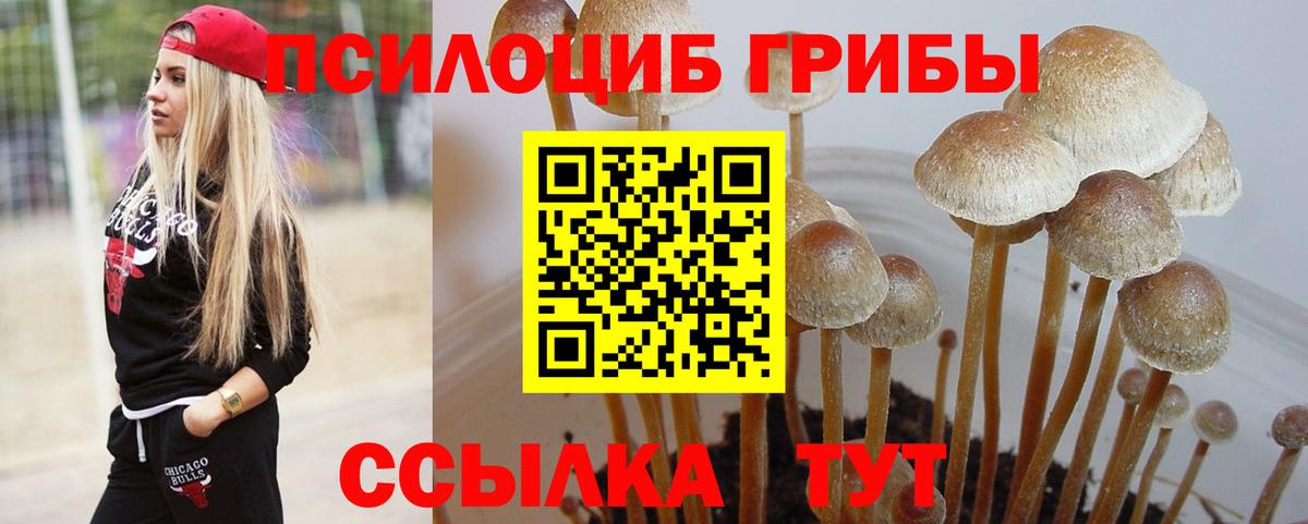 Галлюциногенные грибы GOLDEN TEACHER Златоуст